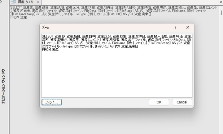 Accessのズーム機能をShift+F2で開いた画面
