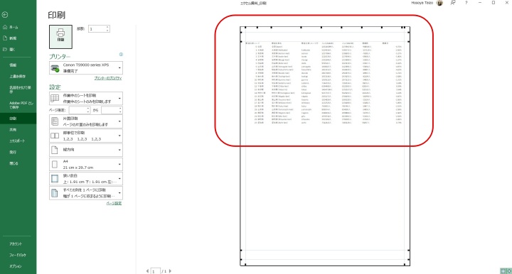 指定した印刷範囲だけがプレビューに表示される画面