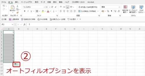 オートフィルオプションを表示した画面